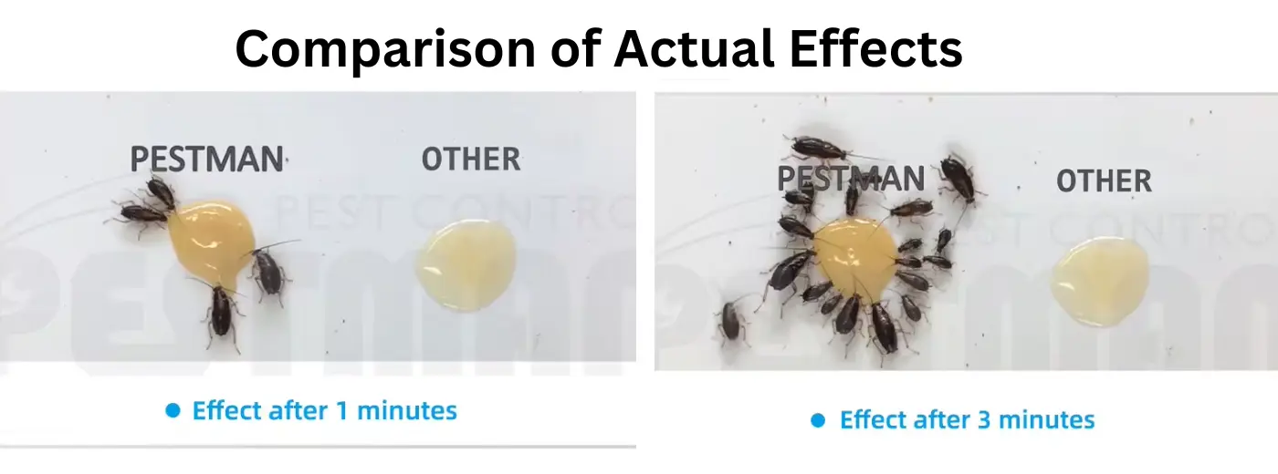 Cockroach Killer Gel Comparison